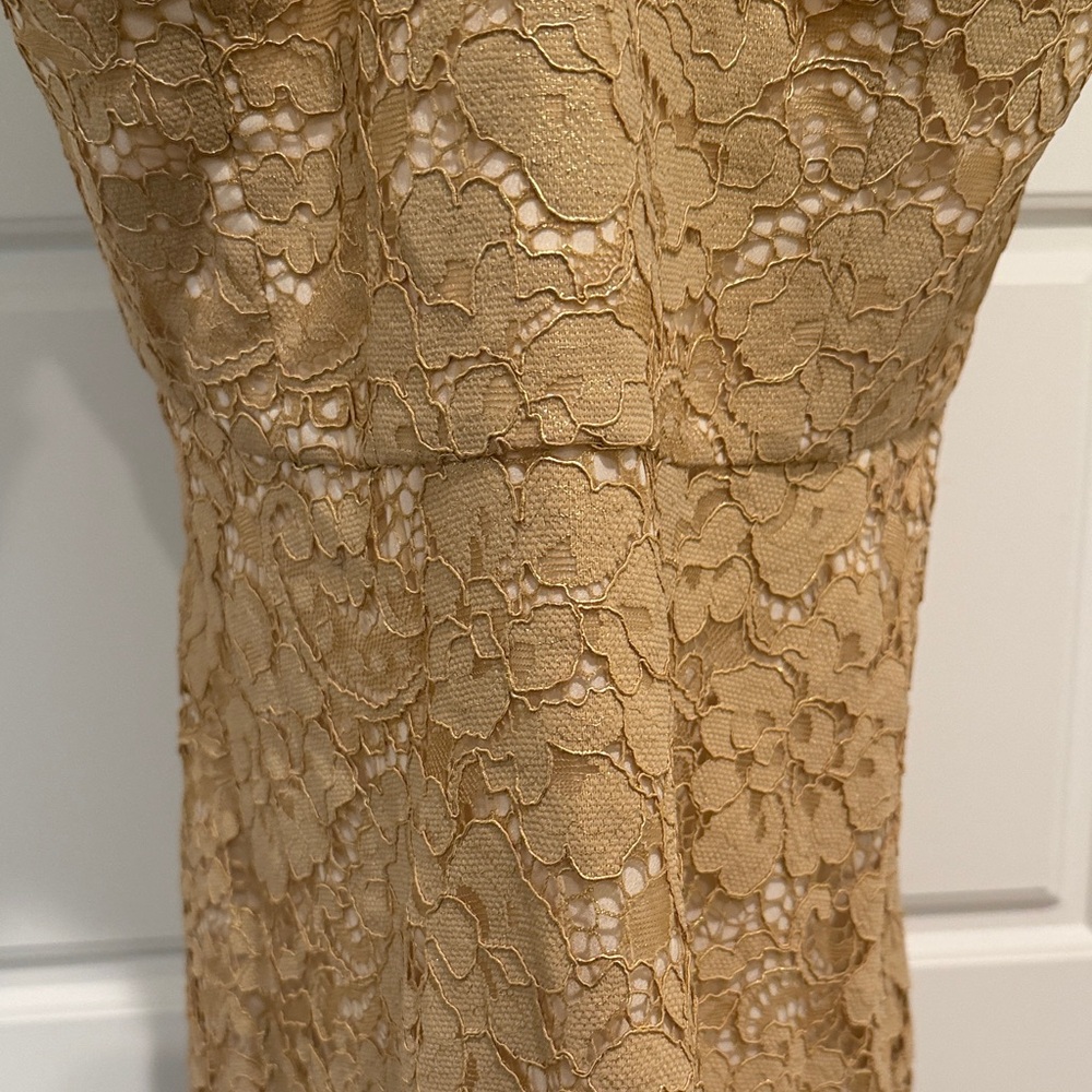Lilly Pulitzer Strapless Gold Lace Gown - Picture 6 of 6